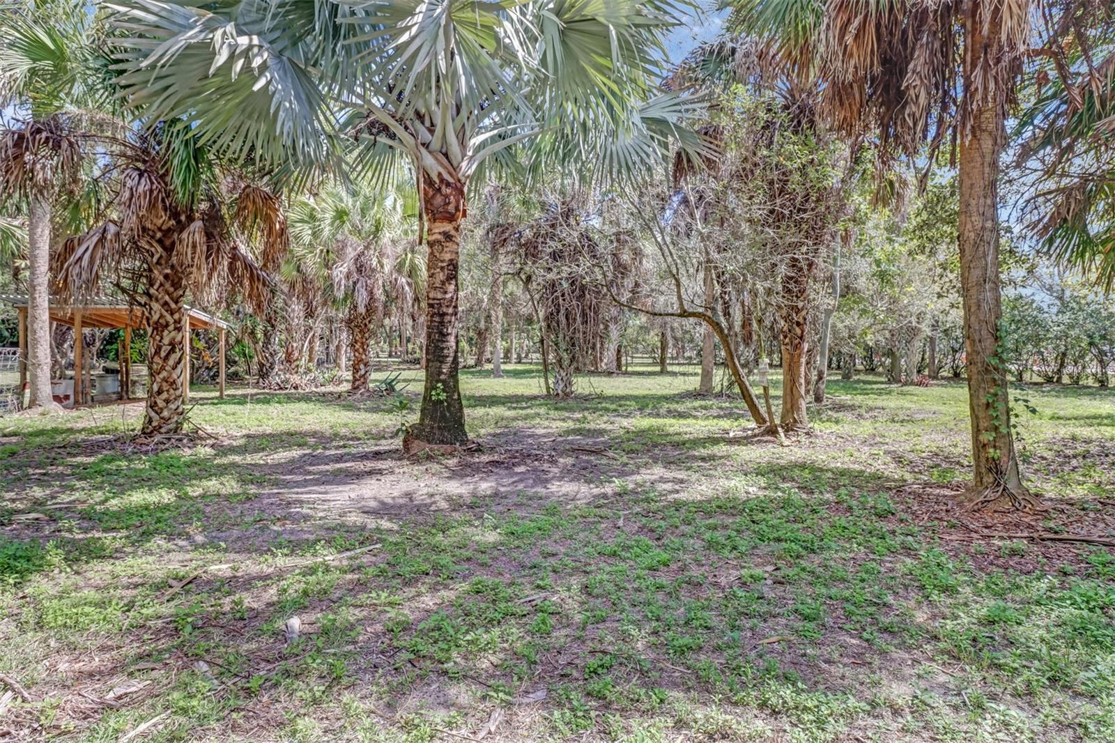 5051 GREEN BLVD, NAPLES, FL, 34116