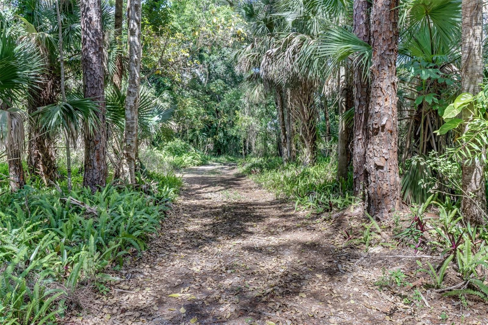 5051 GREEN BLVD, NAPLES, FL, 34116