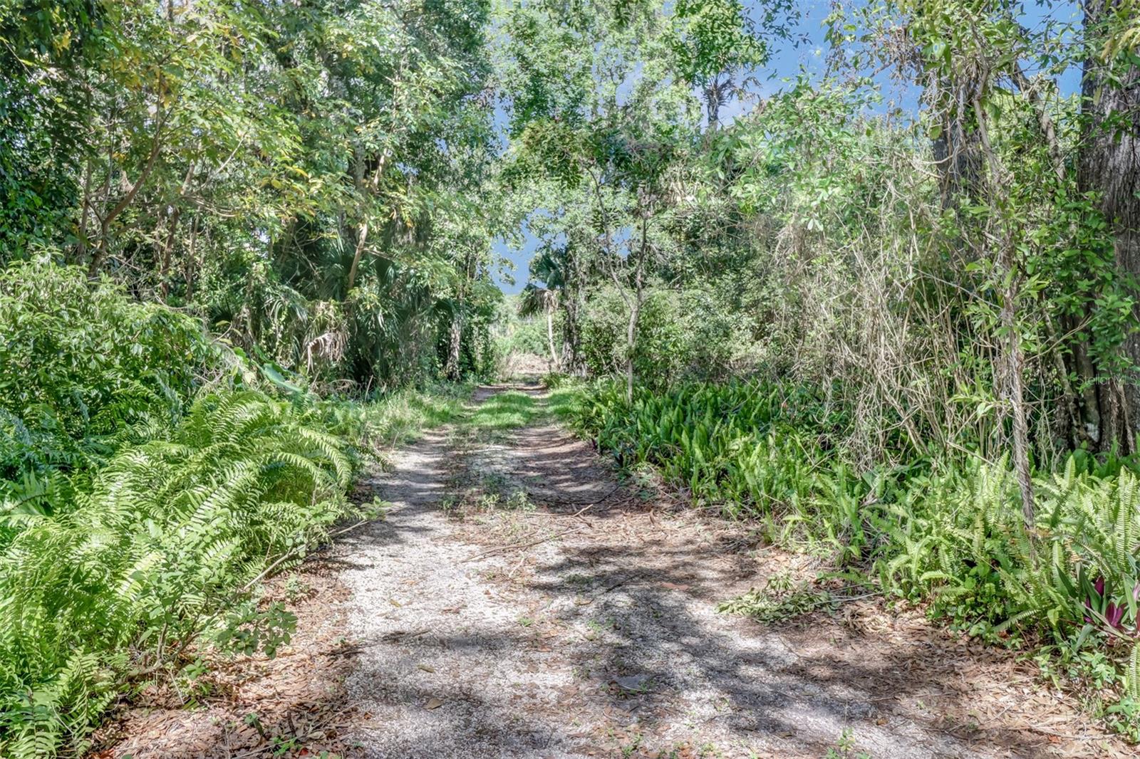 5051 GREEN BLVD, NAPLES, FL, 34116