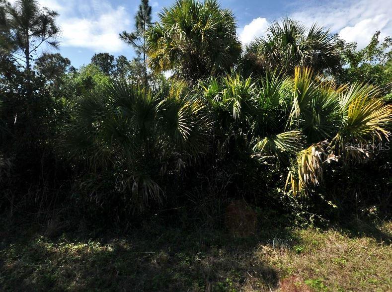 BUTTON ST, NORTH PORT, FL, 34288
