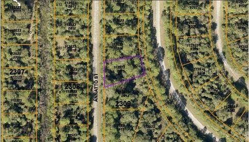 ANNATTO ST, NORTH PORT, FL, 34288