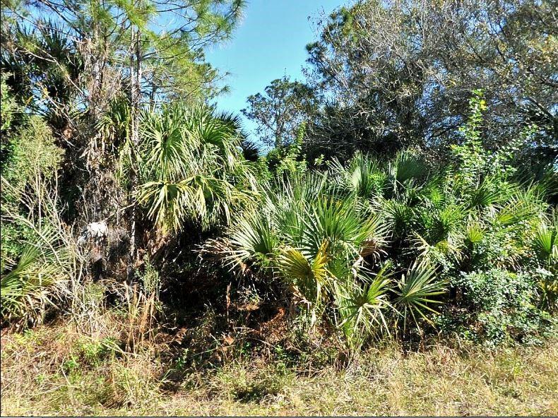 ANNATTO ST, NORTH PORT, FL, 34288