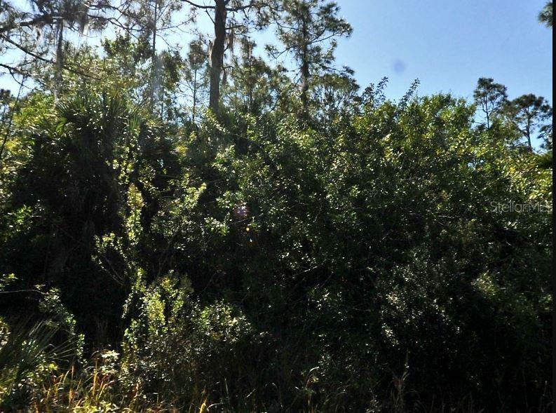 PINKLADY LN, NORTH PORT, FL, 34288