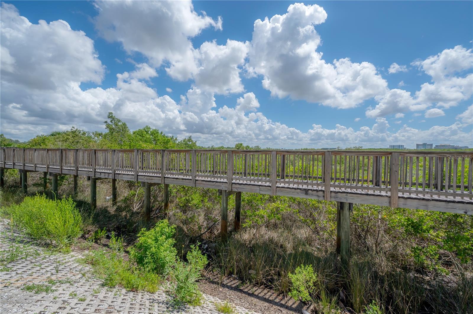 4306 BAYSIDE VILLAGE DR #204, TAMPA, FL, 33615