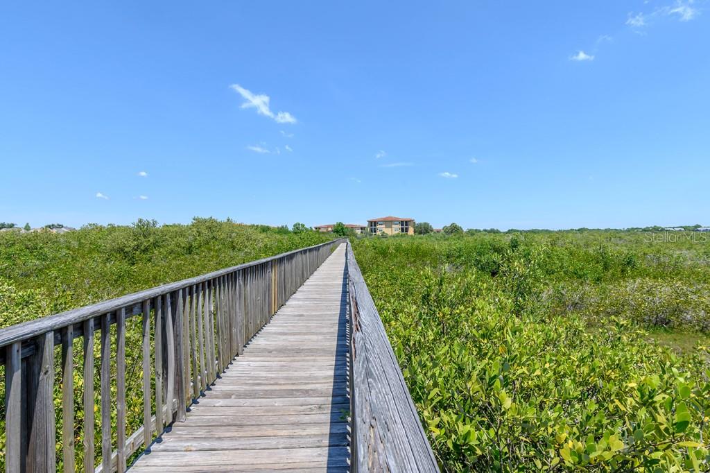 4306 BAYSIDE VILLAGE DR #204, TAMPA, FL, 33615