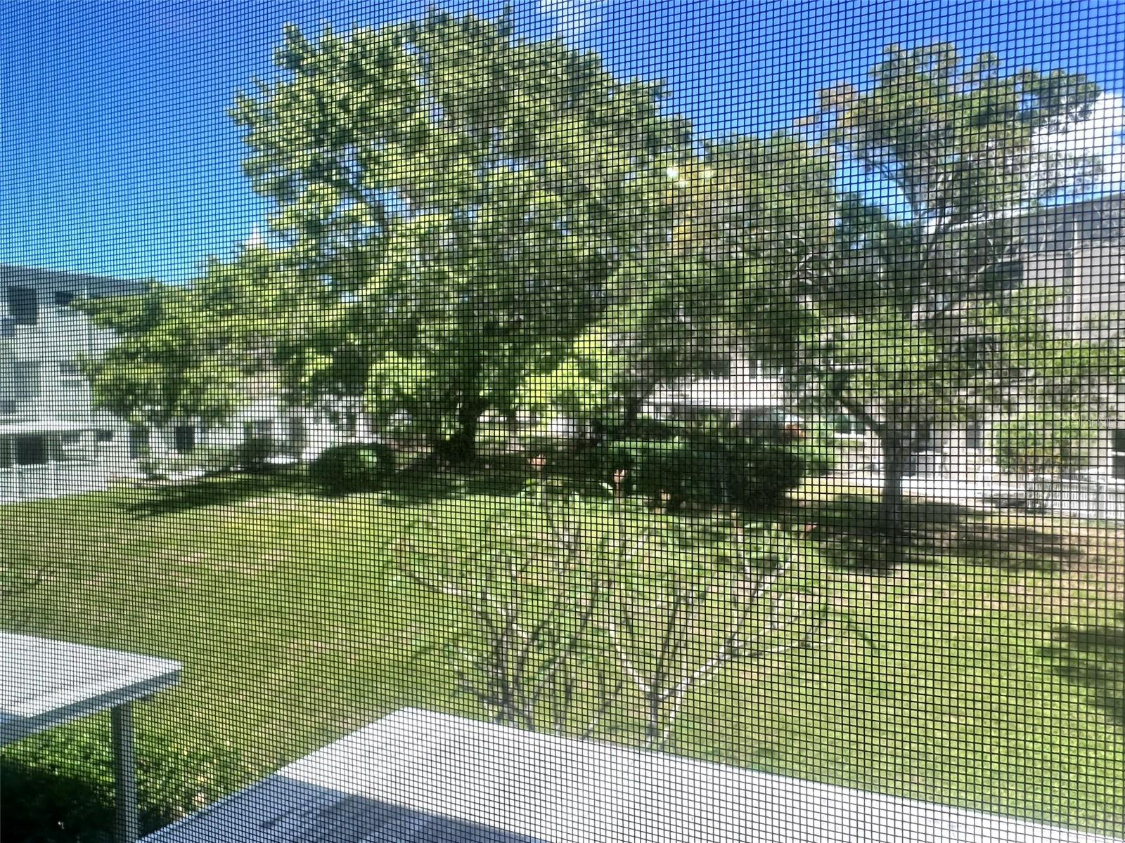 2256 PHILIPPINE DR #46, CLEARWATER, FL, 33763