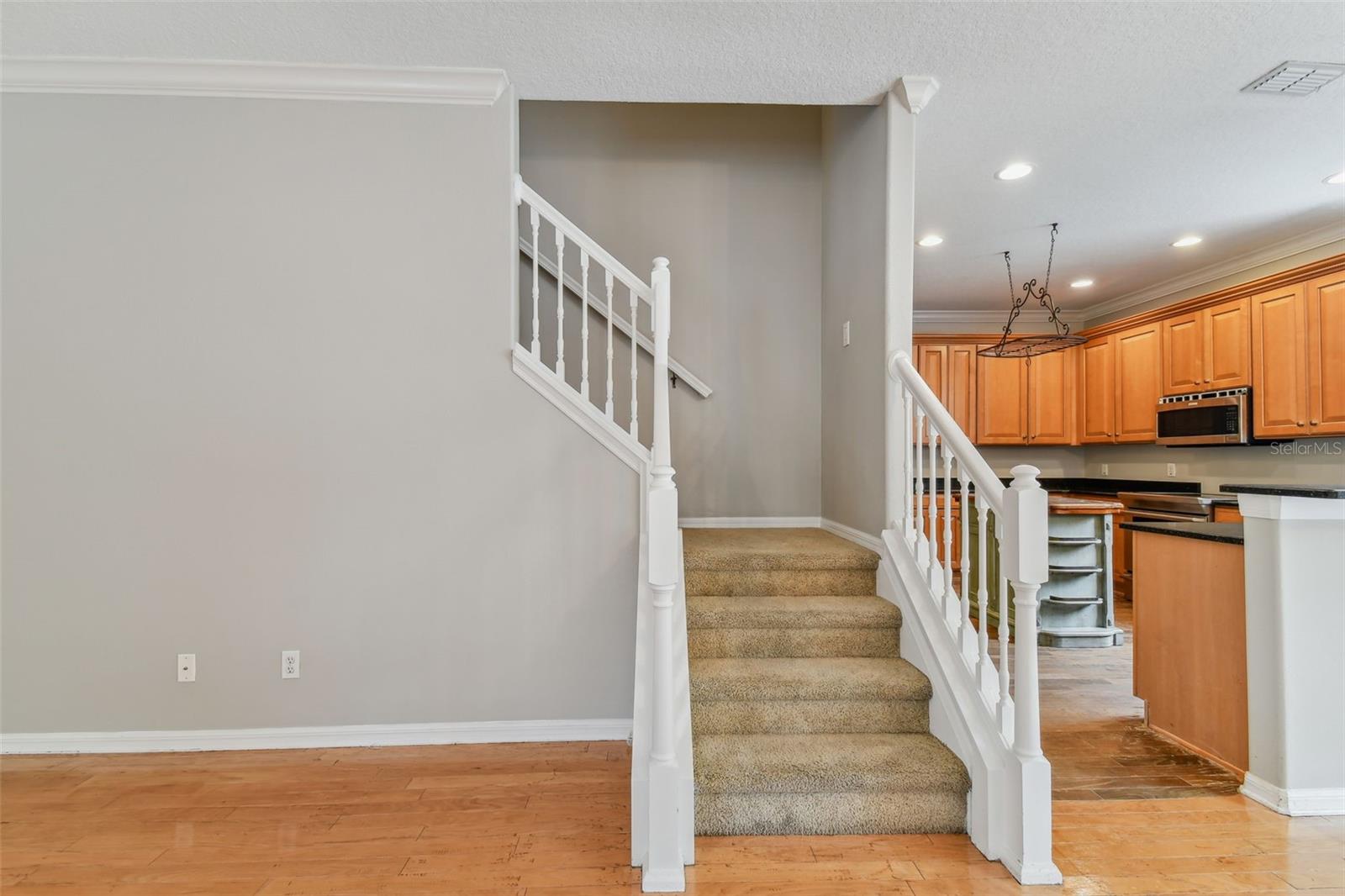 3414 TARBOLTON WAY, LAND O LAKES, FL, 34638