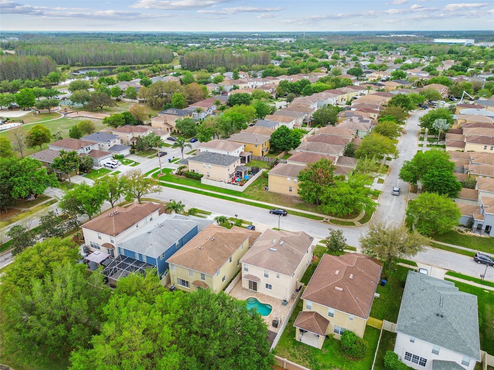 3414 TARBOLTON WAY, LAND O LAKES, FL, 34638