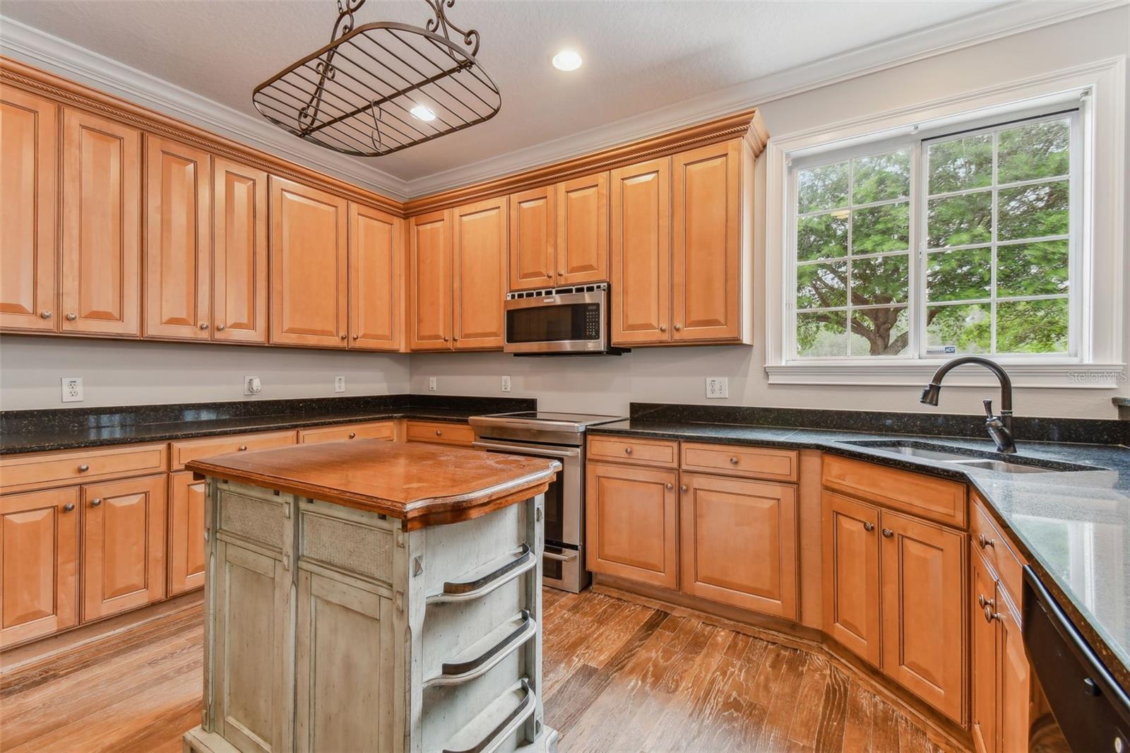 3414 TARBOLTON WAY, LAND O LAKES, FL, 34638