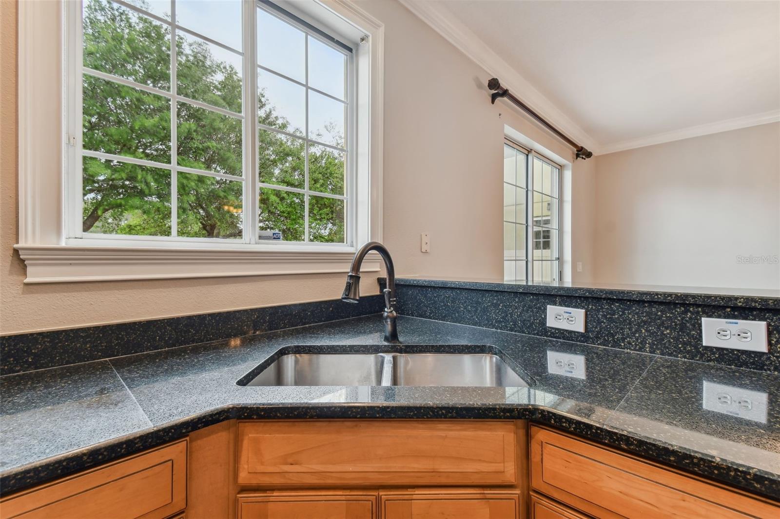 3414 TARBOLTON WAY, LAND O LAKES, FL, 34638