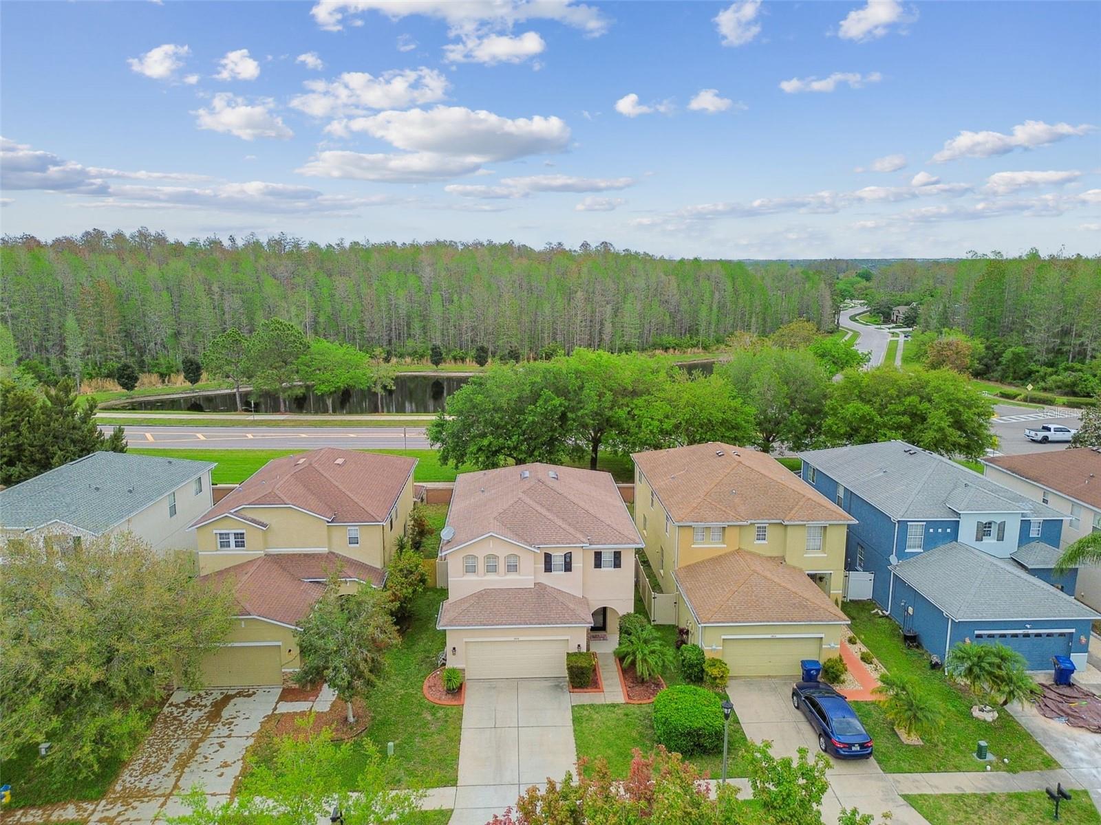 3414 TARBOLTON WAY, LAND O LAKES, FL, 34638
