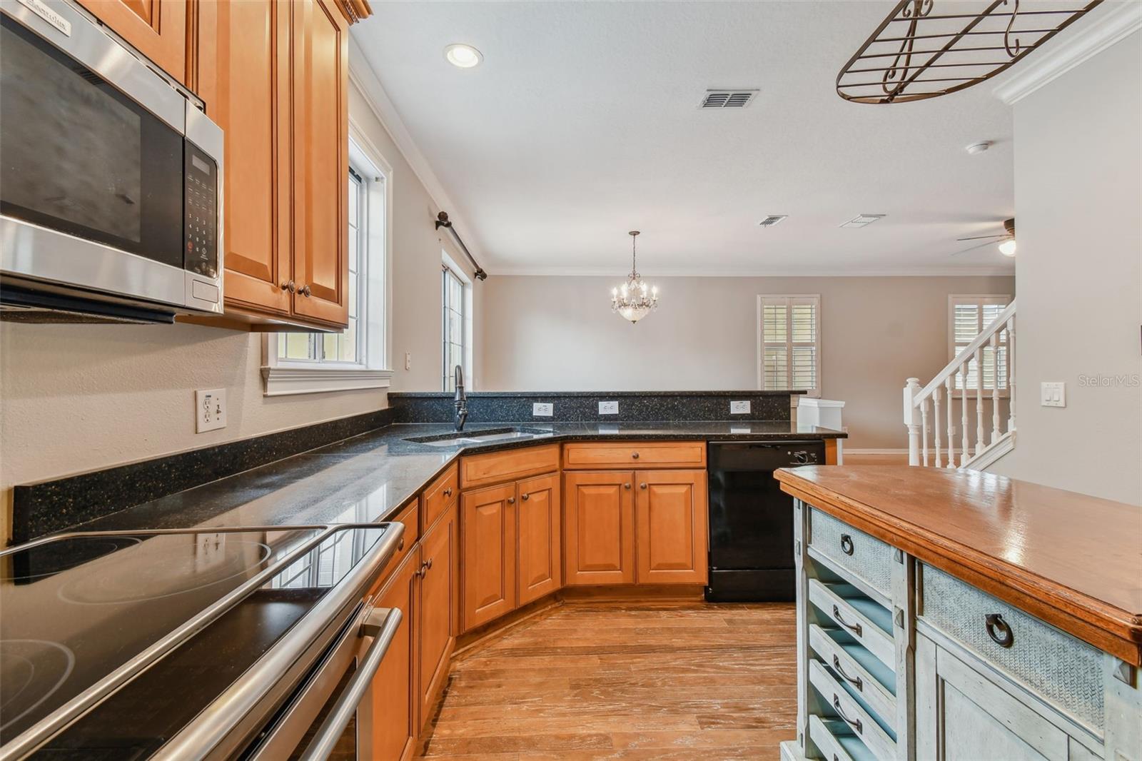 3414 TARBOLTON WAY, LAND O LAKES, FL, 34638