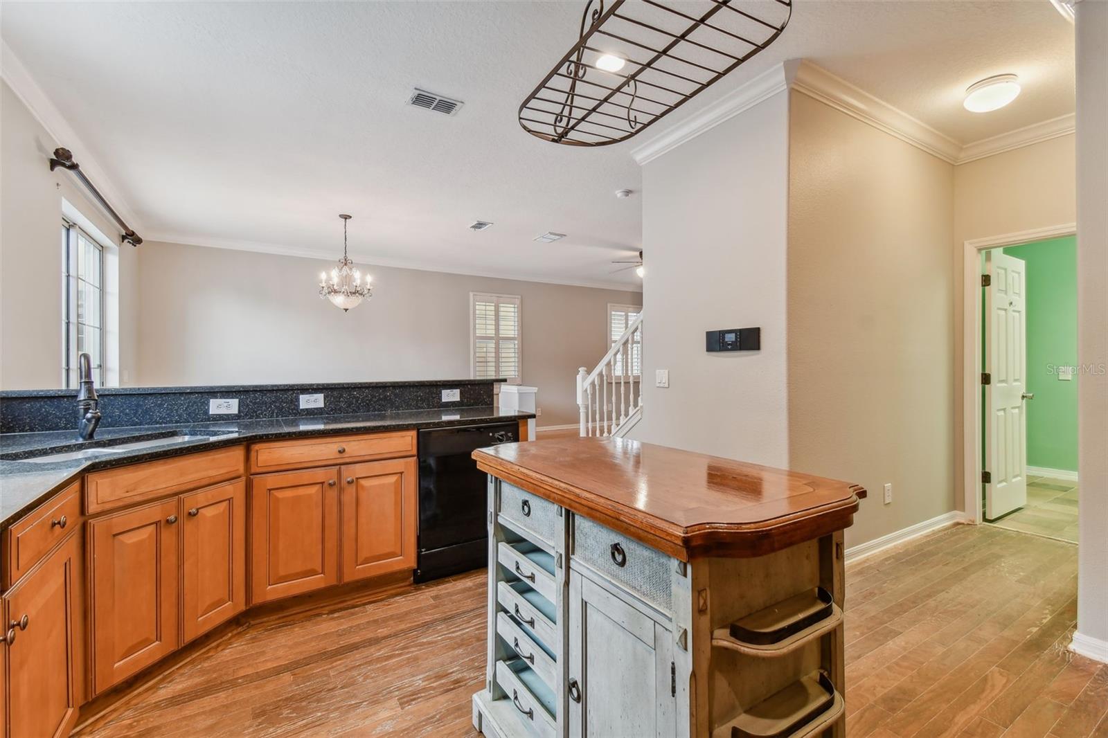 3414 TARBOLTON WAY, LAND O LAKES, FL, 34638