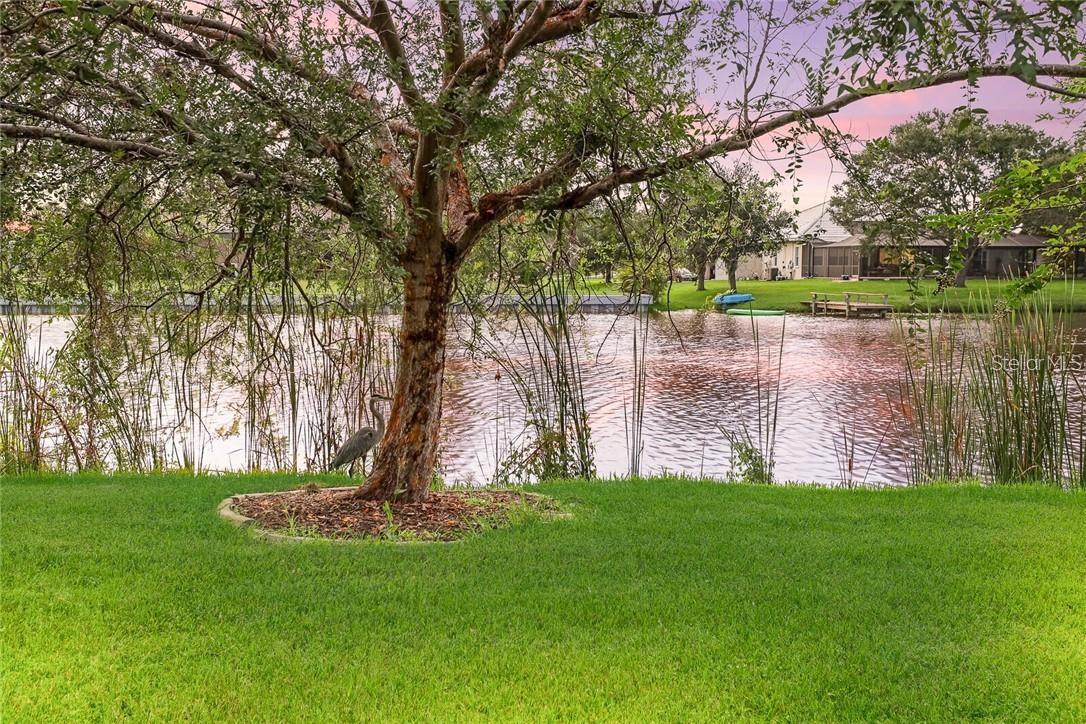 6119 9TH AVENUE CIR NE, BRADENTON, FL, 34212