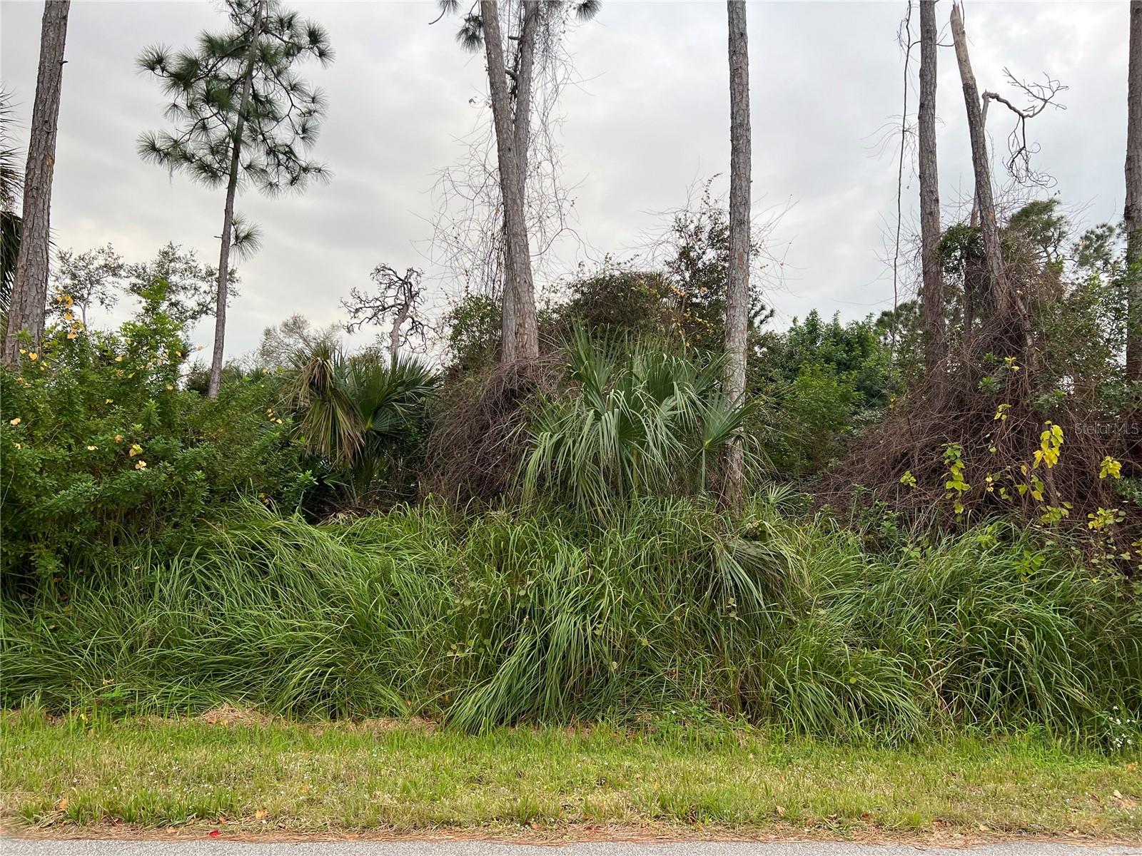 MONTANA LN, NORTH PORT, FL, 34286