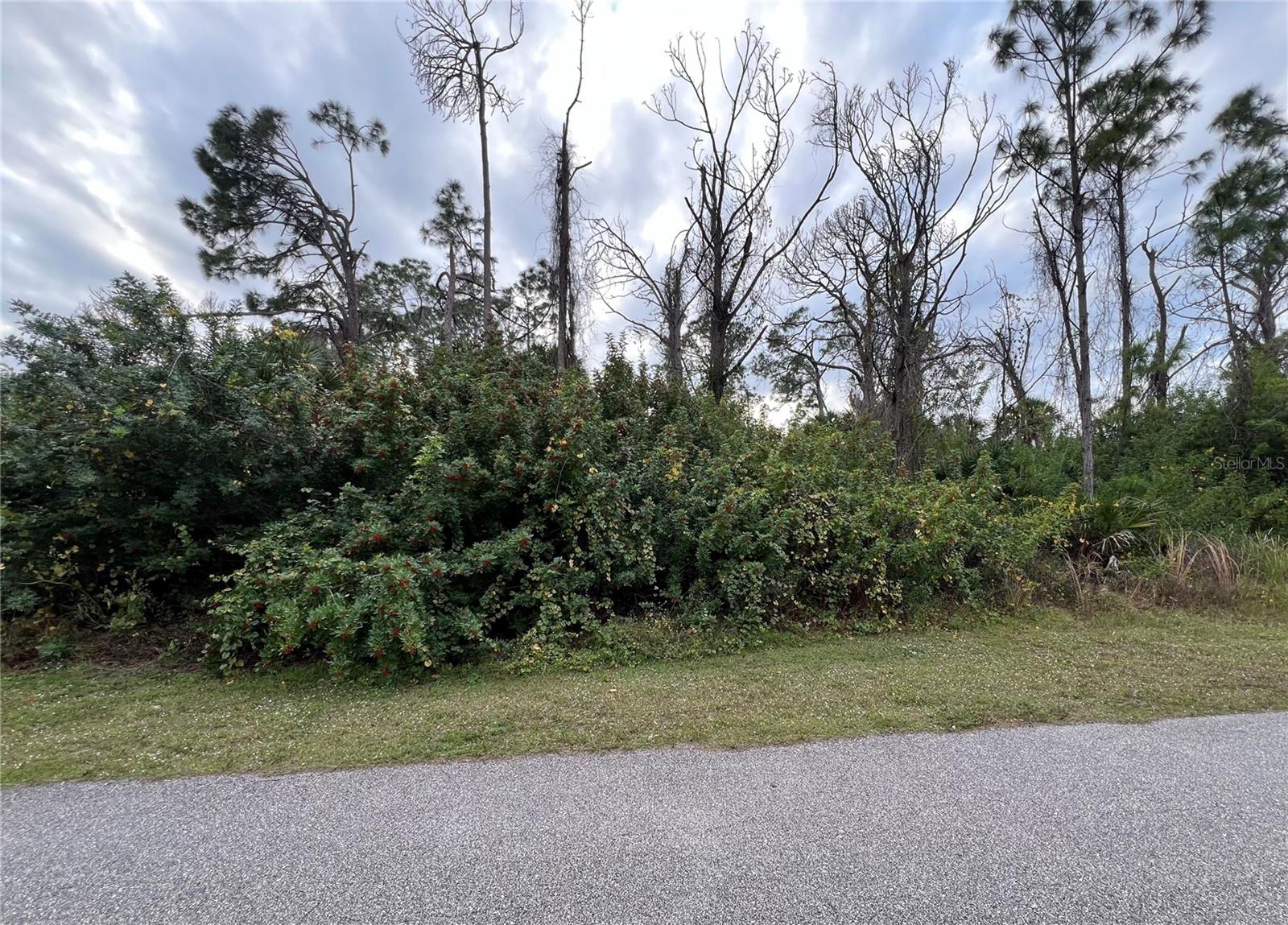 GRANDVIEW DR, NORTH PORT, FL, 34288