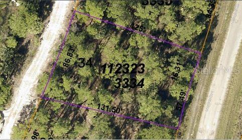 LANGLAIS DR, NORTH PORT, FL, 34288