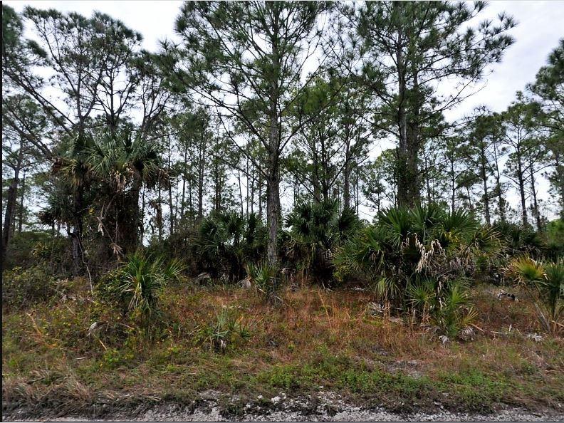 LANGLAIS DR, NORTH PORT, FL, 34288