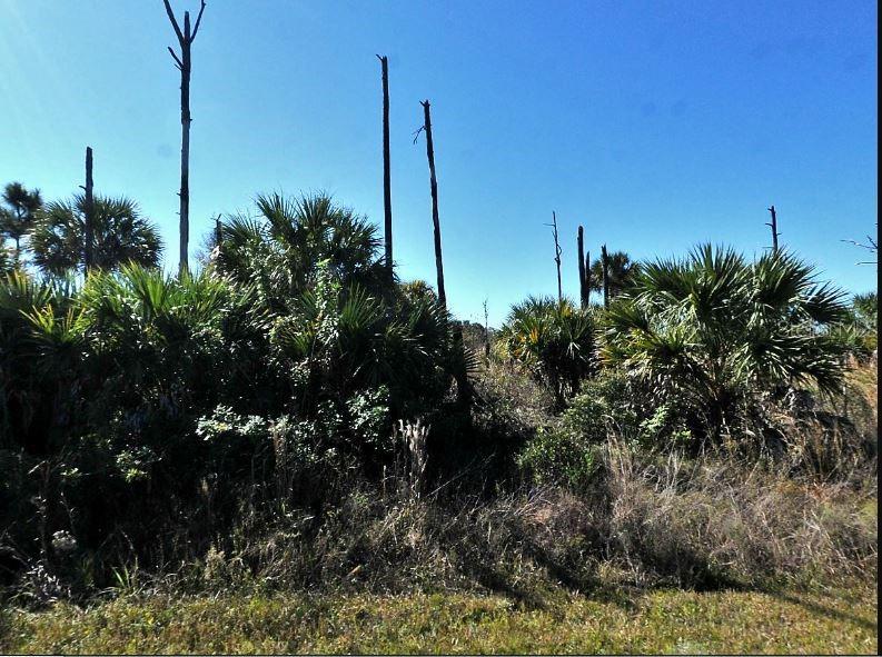 EWEN CIR, NORTH PORT, FL, 34288