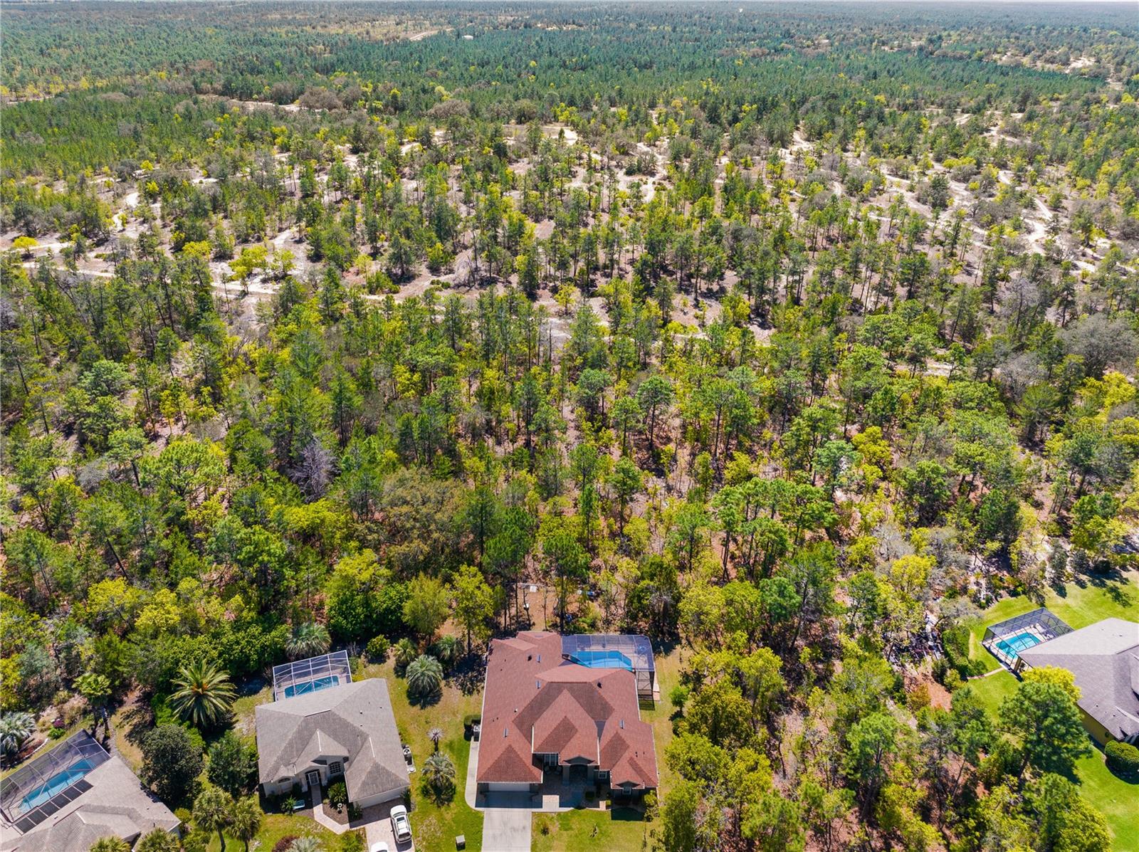 22 POPPY CT, HOMOSASSA, FL, 34446