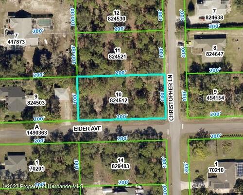 0 CHRISTOPHER LN, WEEKI WACHEE, FL, 34613
