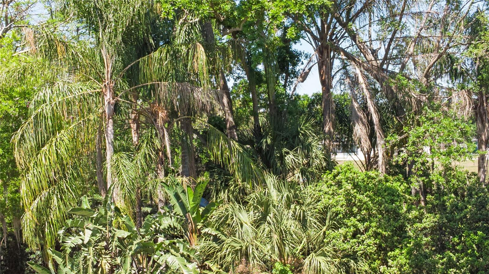 747 CENTER ST, OCOEE, FL, 34761