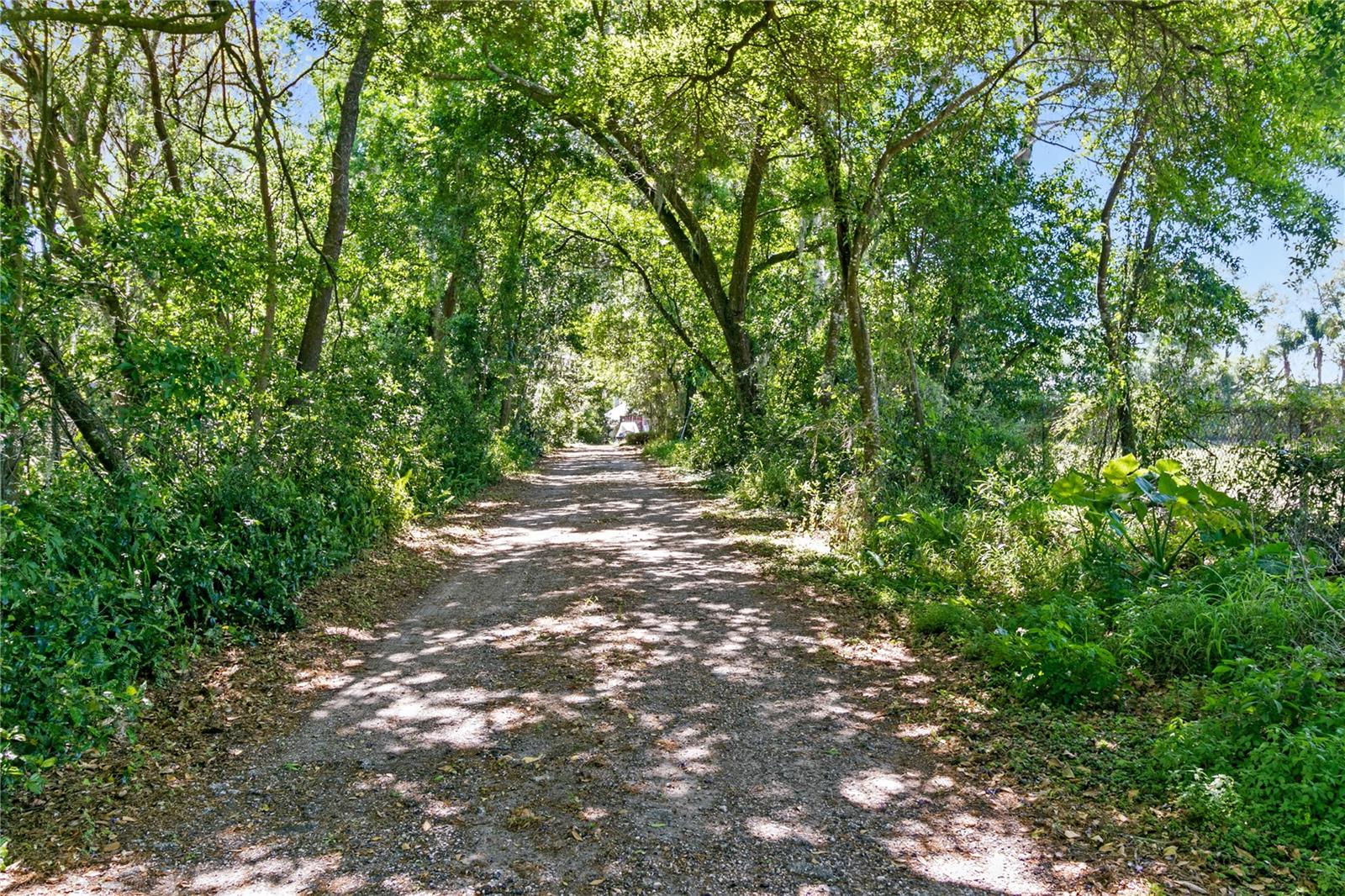 747 CENTER ST, OCOEE, FL, 34761