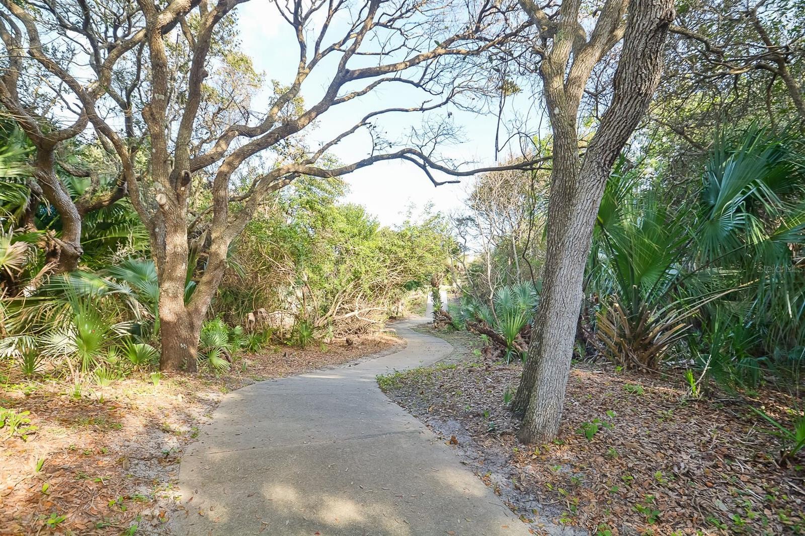 4330 SEA MIST DR, NEW SMYRNA BEACH, FL, 32169
