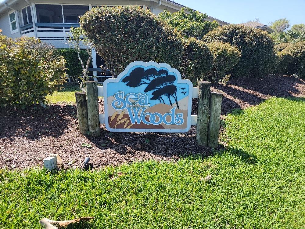 4330 SEA MIST DR, NEW SMYRNA BEACH, FL, 32169