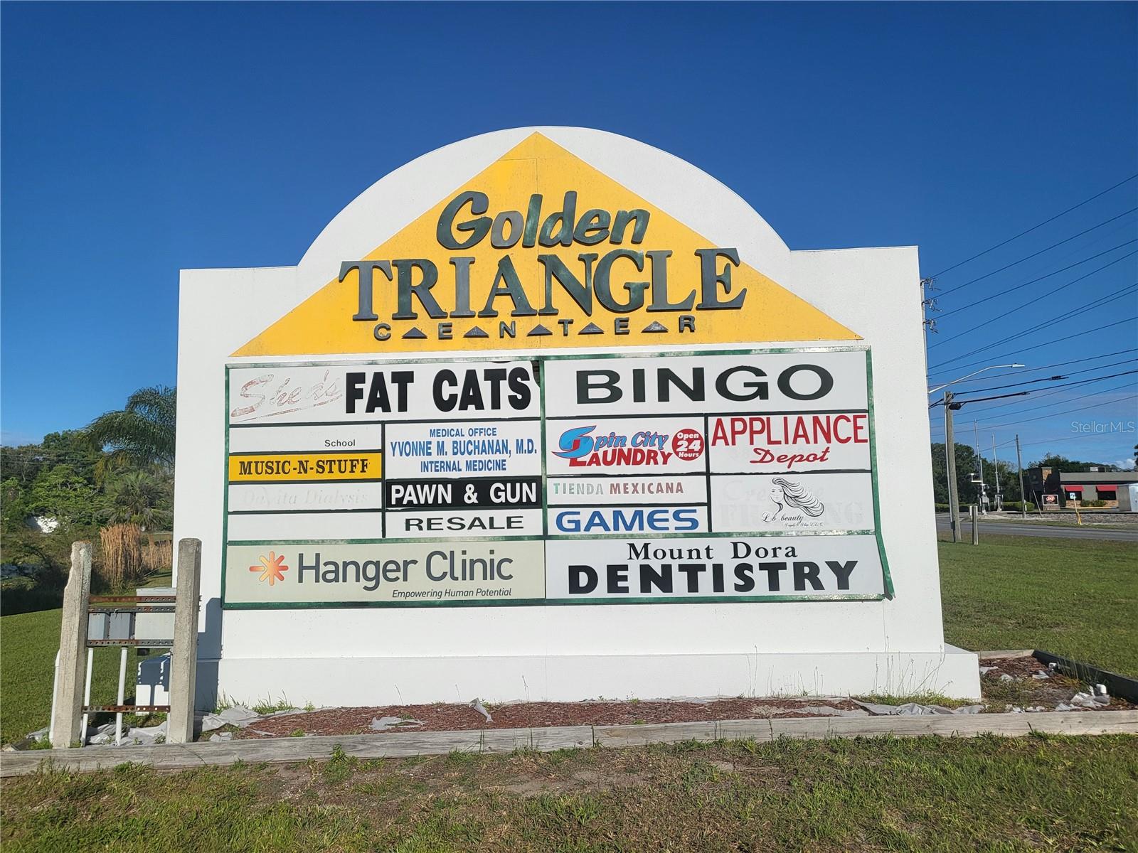 2711 OLD HIGHWAY 441 HWY, MOUNT DORA, FL, 32757