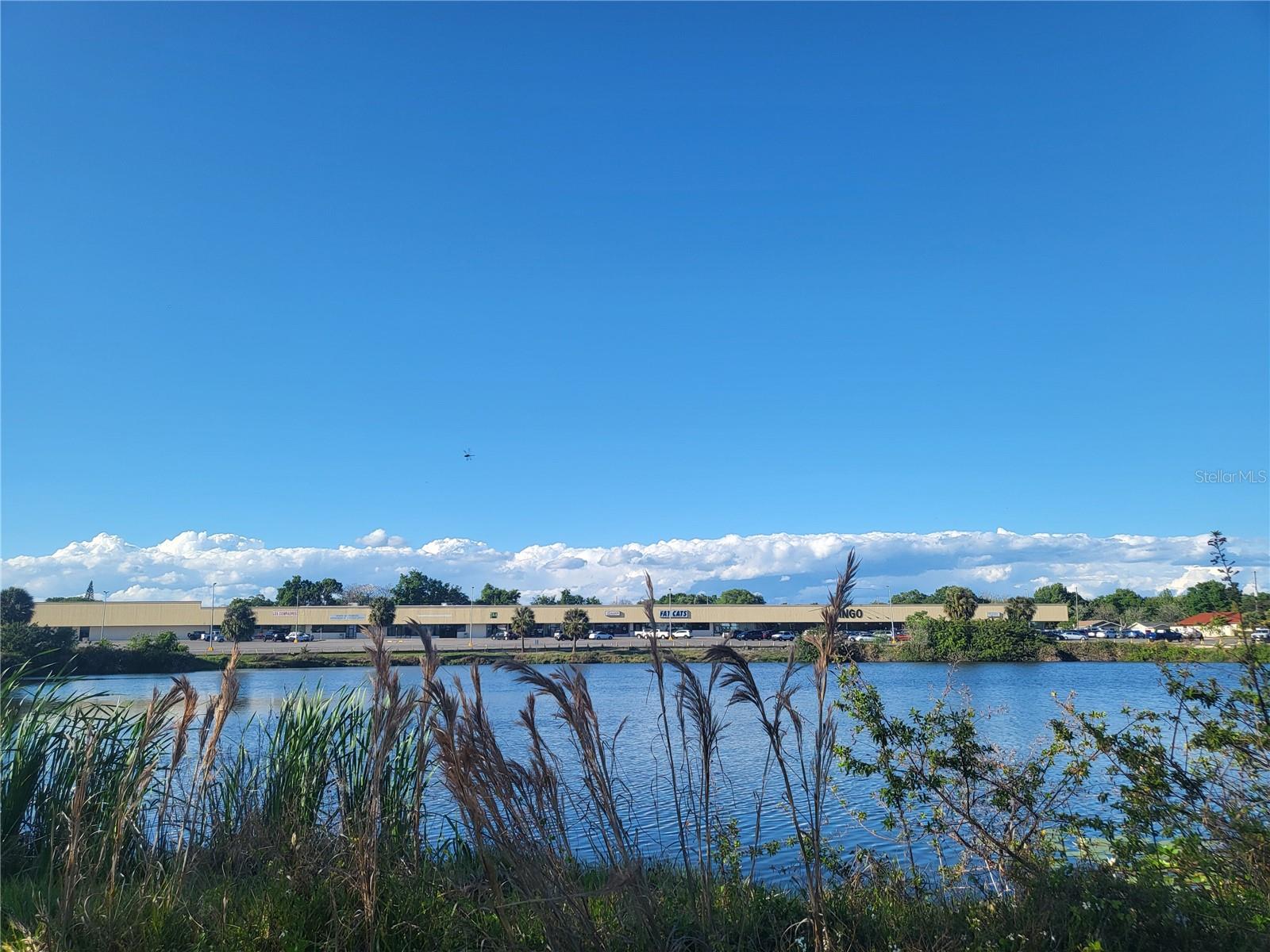 2711 OLD HIGHWAY 441 HWY, MOUNT DORA, FL, 32757