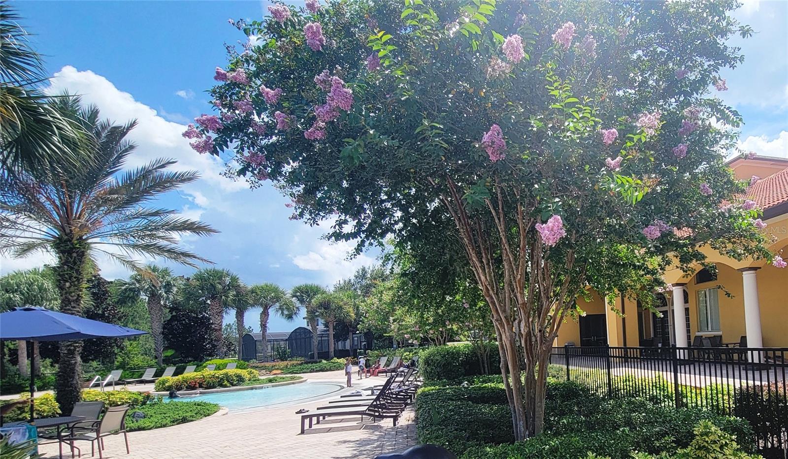 143 TIGERLILY CT, DAVENPORT, FL, 33837