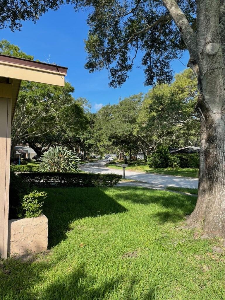 2275 WILLOWBROOK DR, CLEARWATER, FL, 33764