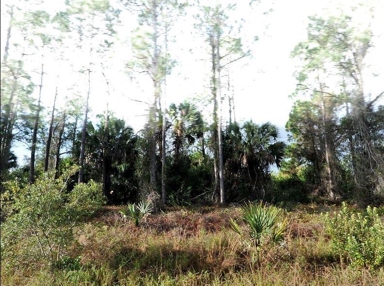 HAMPSHIRE CIR, NORTH PORT, FL, 34288