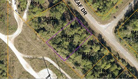BLUELEAF DR, NORTH PORT, FL, 34288