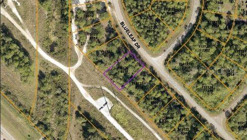 BLUELEAF DR, NORTH PORT, FL, 34288