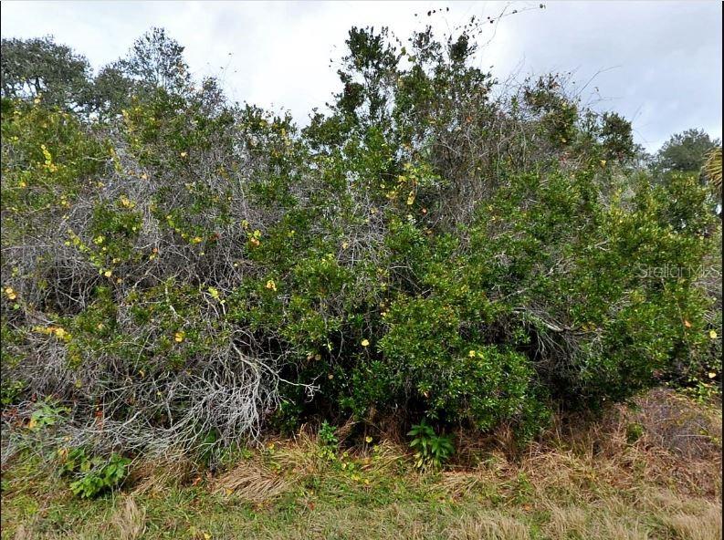 BRIXTON TER, NORTH PORT, FL, 34291