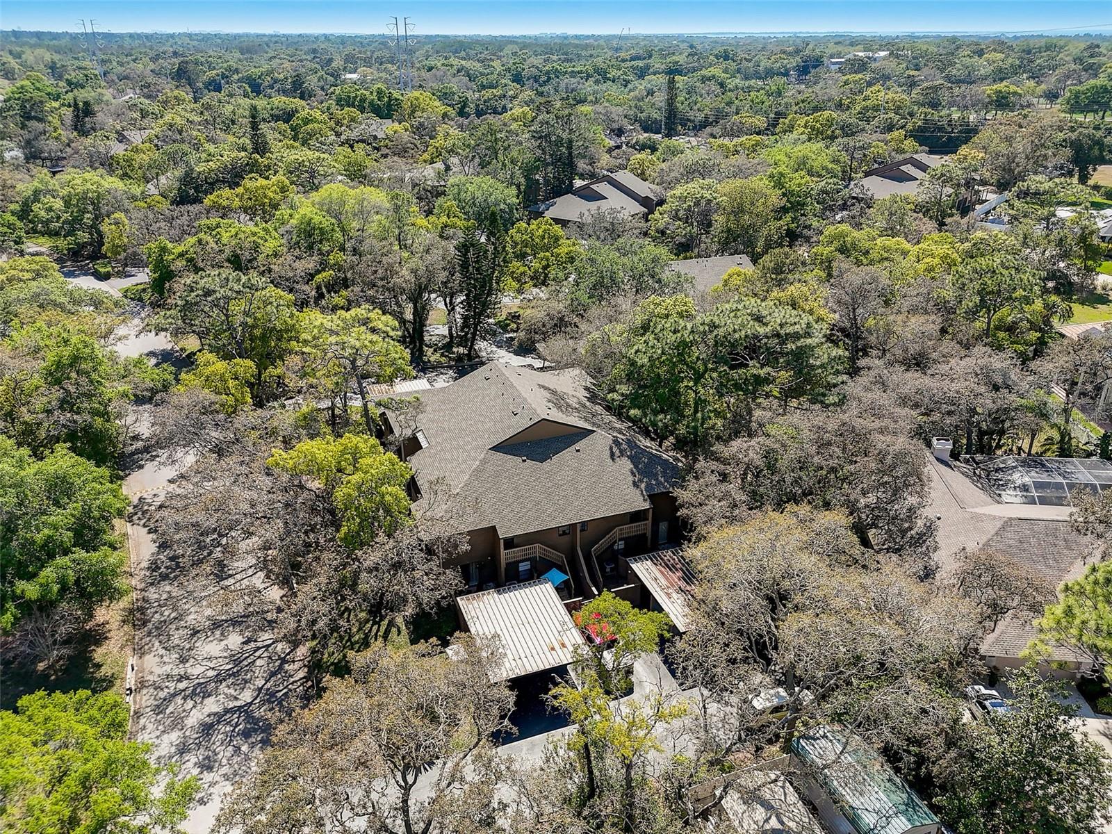 103 CYPRESS POND RD #103, PALM HARBOR, FL, 34683
