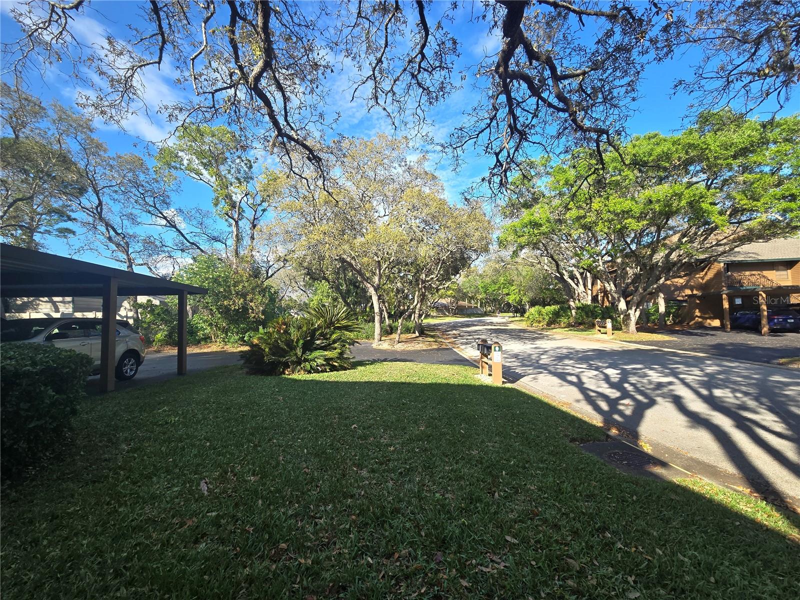 103 CYPRESS POND RD #103, PALM HARBOR, FL, 34683