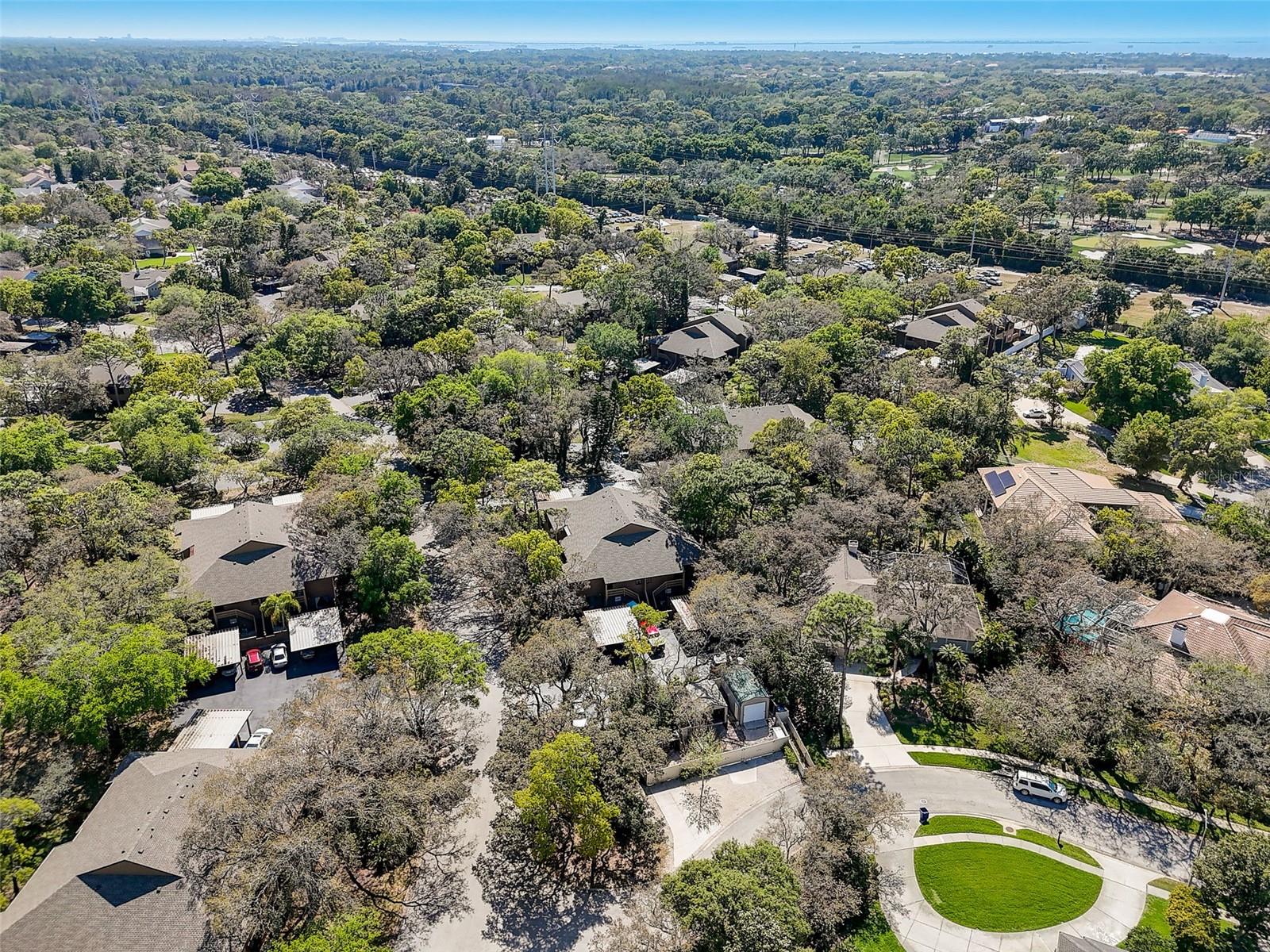 103 CYPRESS POND RD #103, PALM HARBOR, FL, 34683