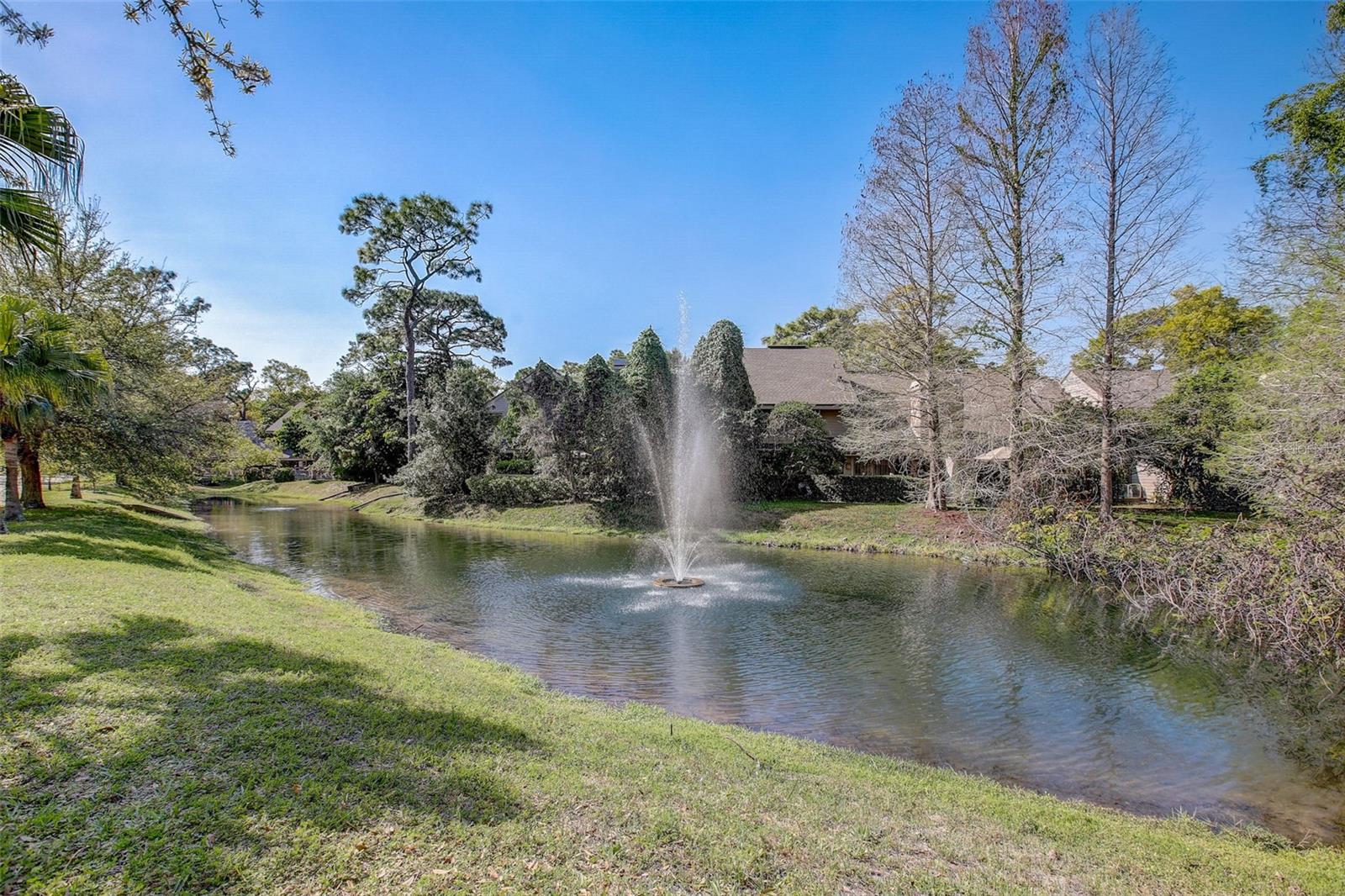 103 CYPRESS POND RD #103, PALM HARBOR, FL, 34683