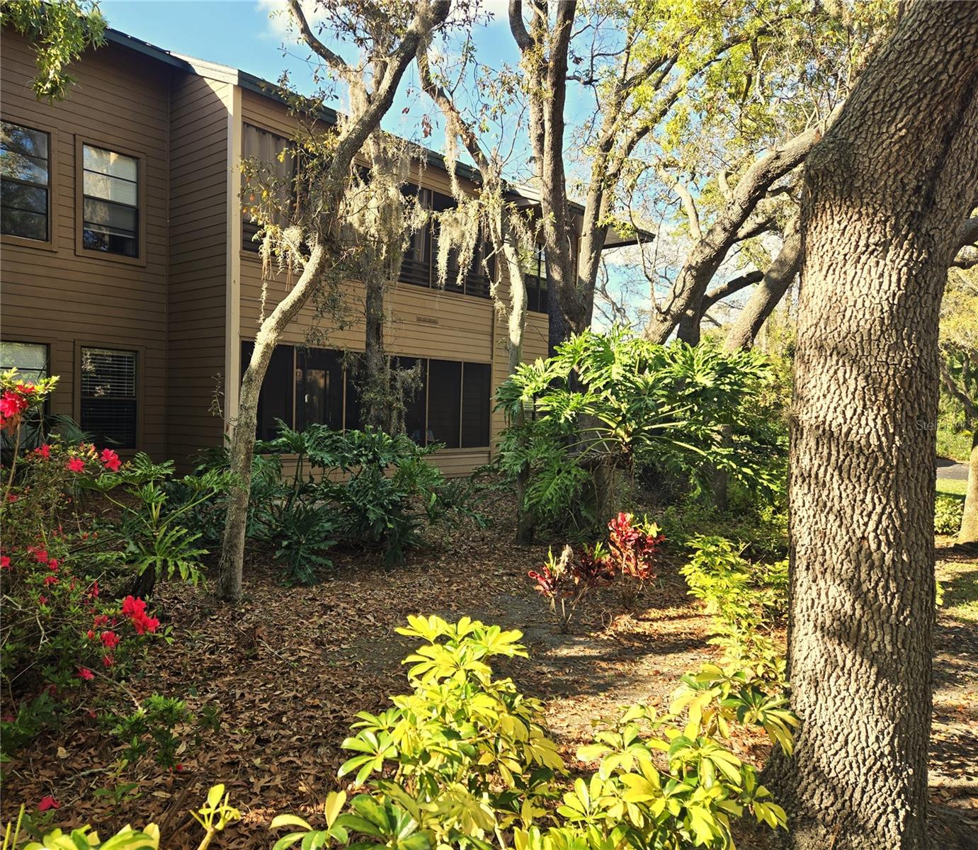 103 CYPRESS POND RD #103, PALM HARBOR, FL, 34683