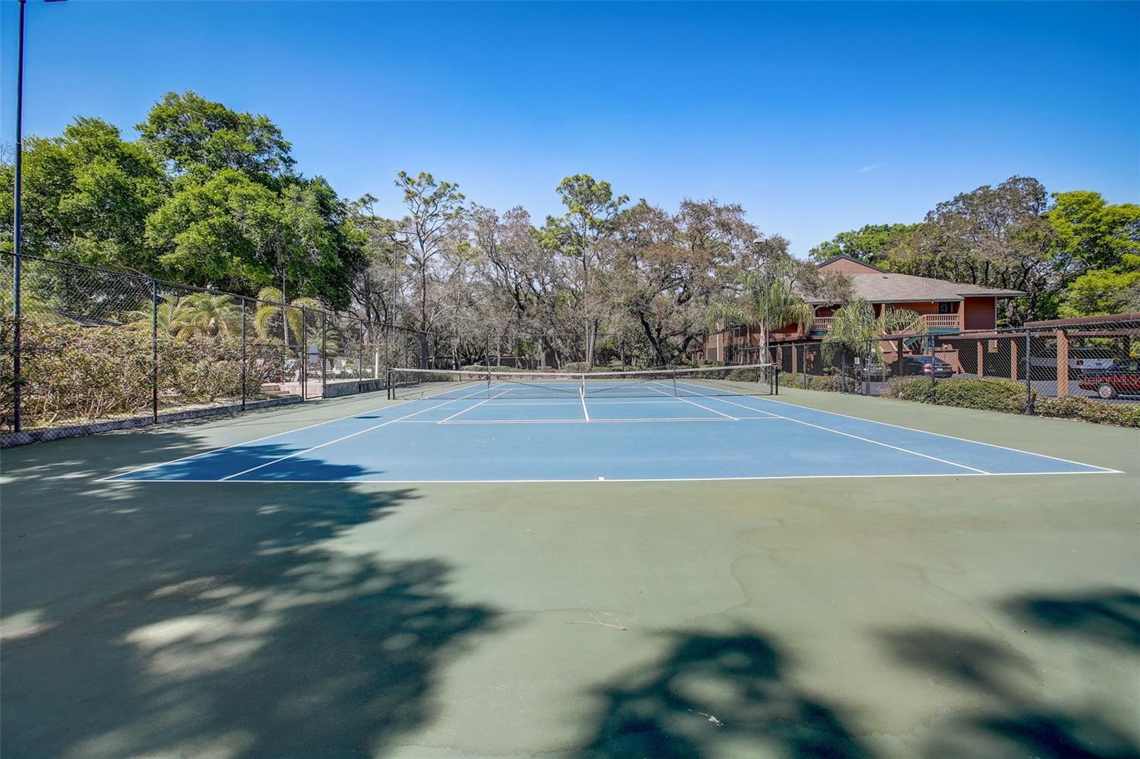 103 CYPRESS POND RD #103, PALM HARBOR, FL, 34683