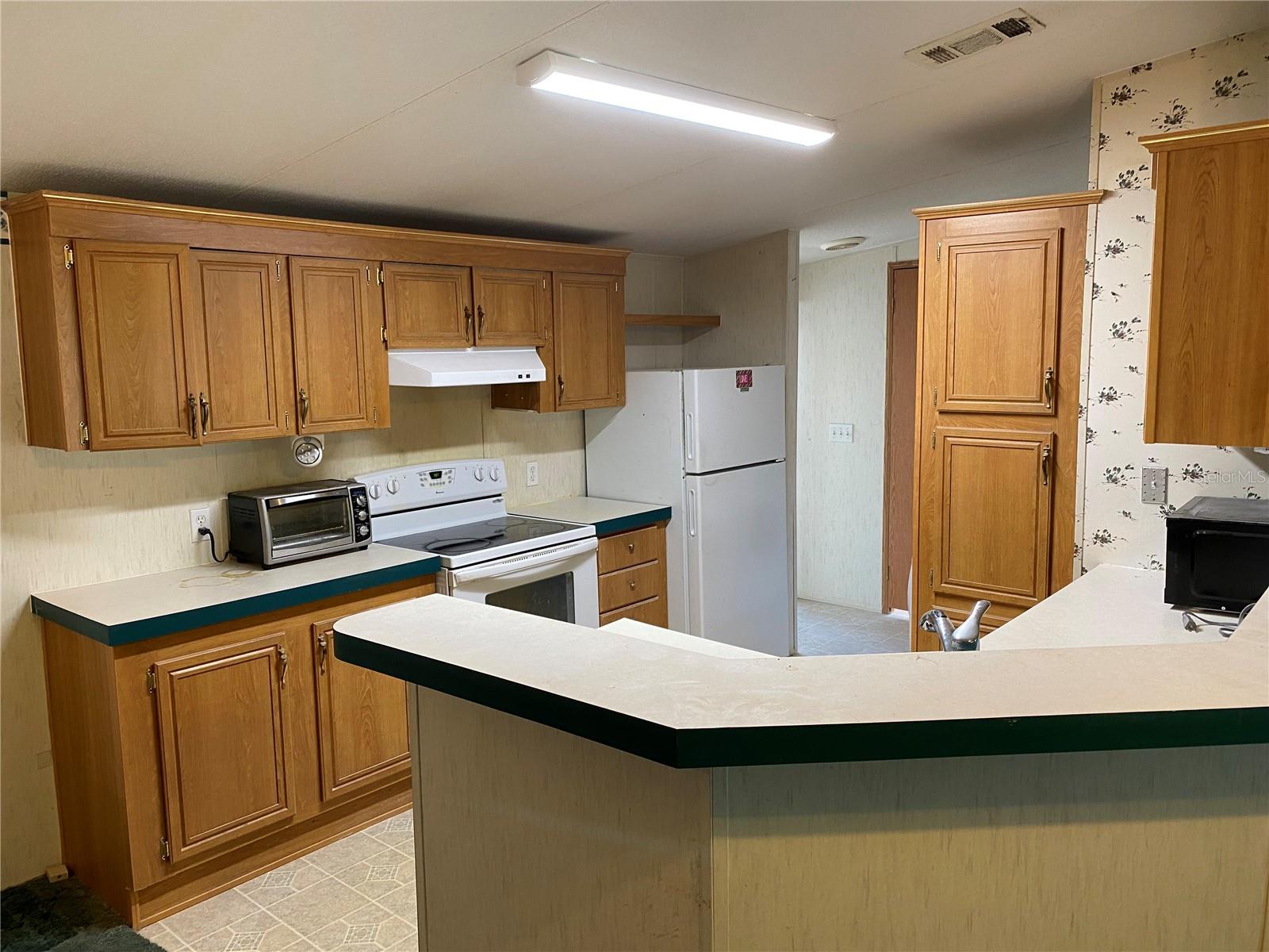 3393 FISKWAY ST, SPRING HILL, FL, 34606