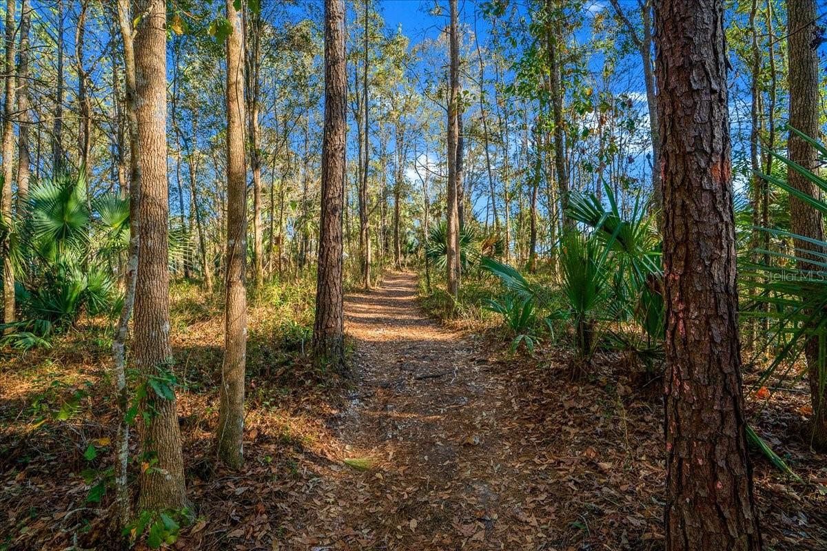 10284 NE 28TH LOOP, SILVER SPRINGS, FL, 34488