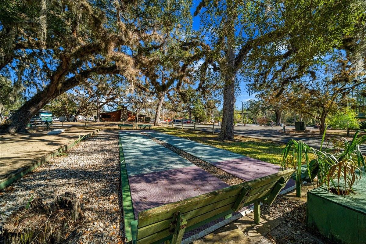 10284 NE 28TH LOOP, SILVER SPRINGS, FL, 34488