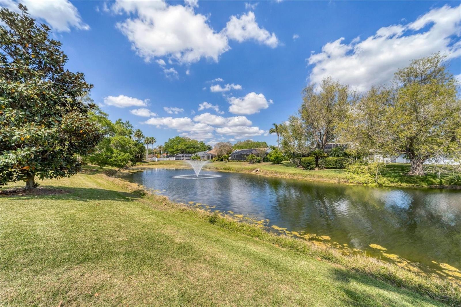 3449 YONGE AVE, SARASOTA, FL, 34235