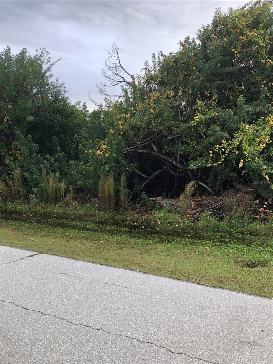 14319 ALLENSWORTH AVE, PORT CHARLOTTE, FL, 33981