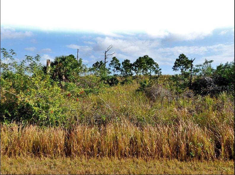 MANSFIELD CIR, NORTH PORT, FL, 34288