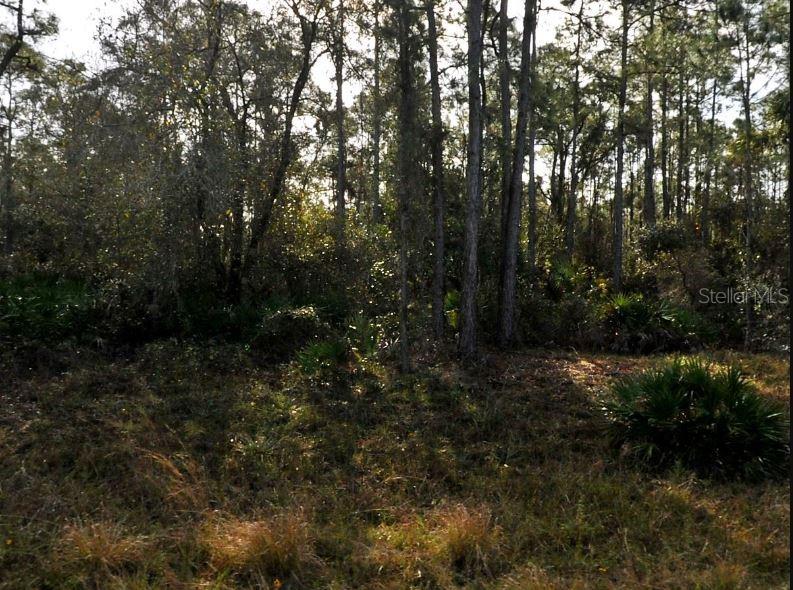 LESTOCK AVE, NORTH PORT, FL, 34288